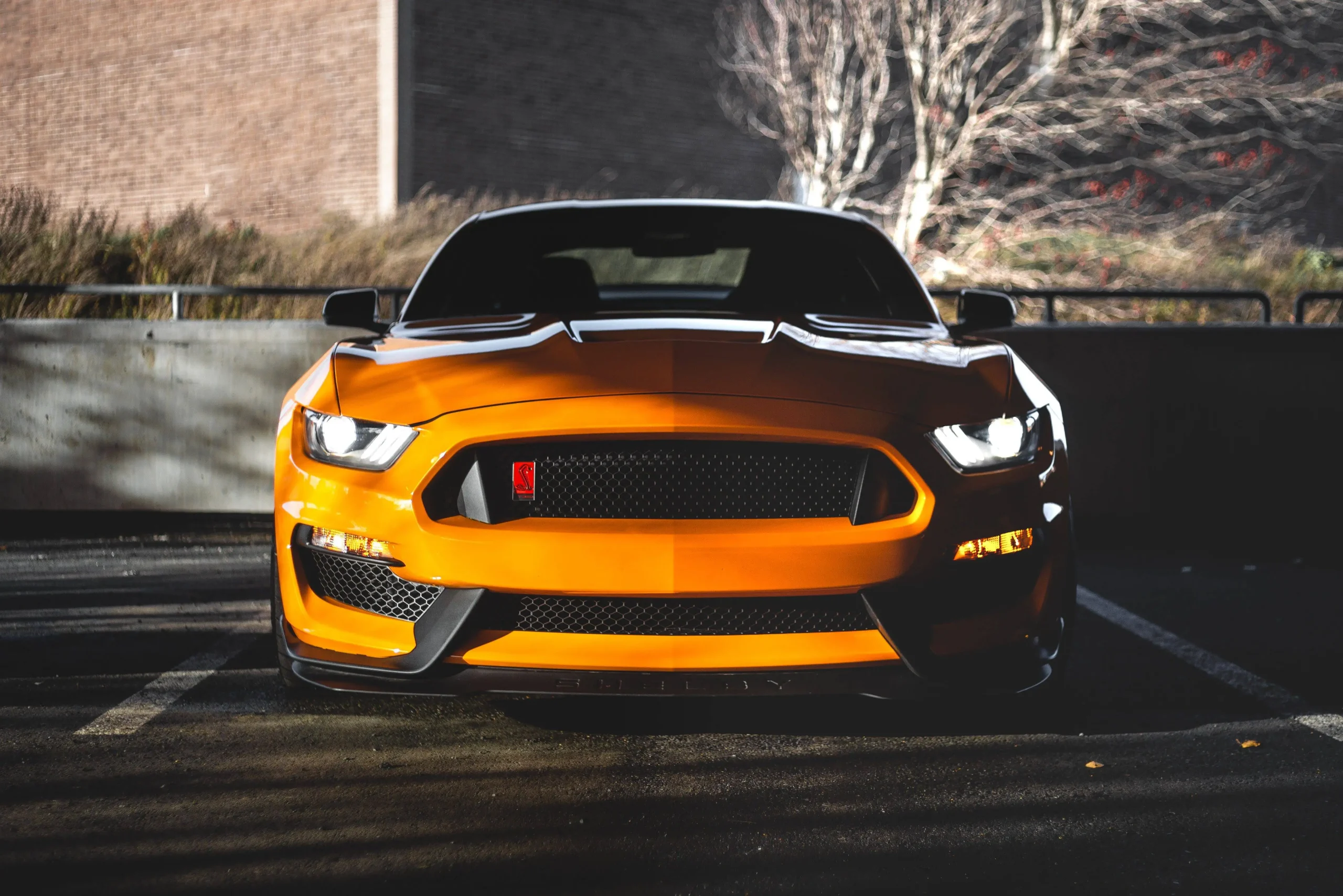 transportation shuttle services